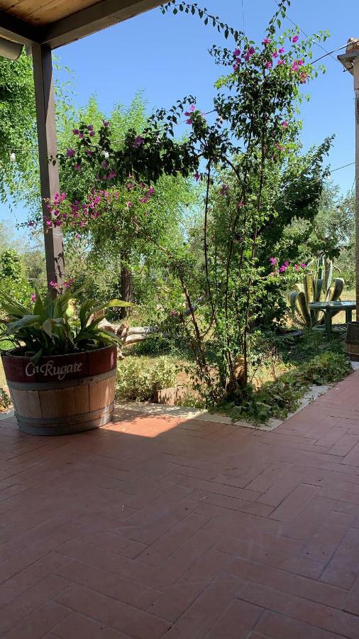 Signor Cesare Agrobistrot B&B San Giovanni Rotondo Zewnętrze zdjęcie